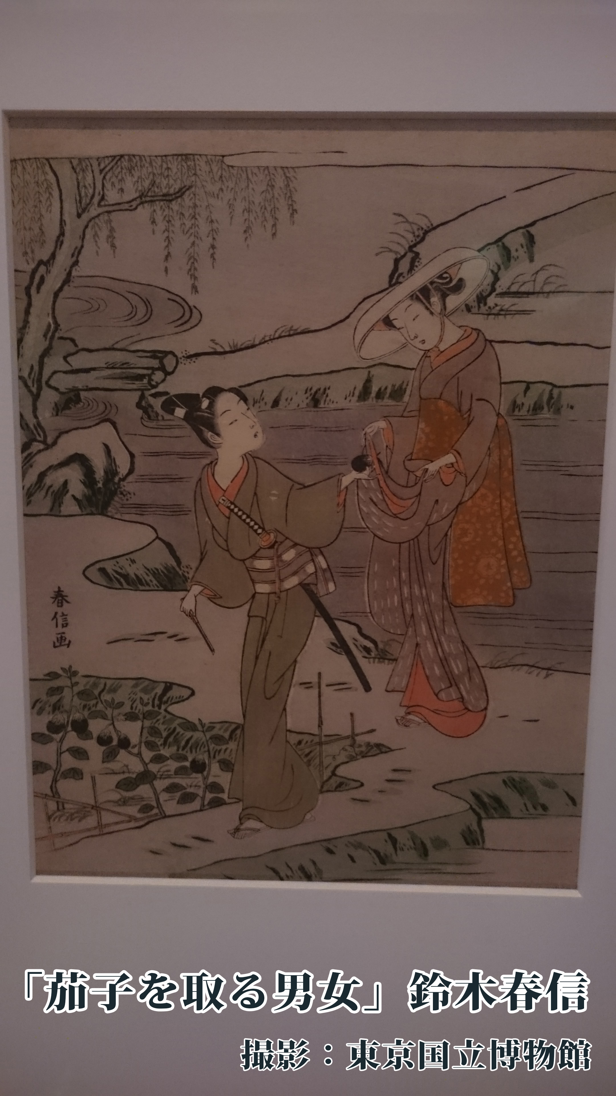 茄子を取る男女